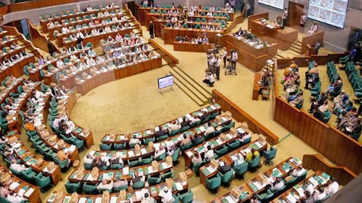 জুলাই সনদকে ‘আননেসেসারি’ বলায় সংসদে উত্তেজনা