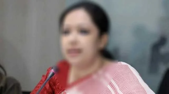 স্থানীয় বিএনপি নেতাদের বিরুদ্ধে মামলা বাণিজ্যের অভিযোগ তুললেন রুমিন ফারহানা