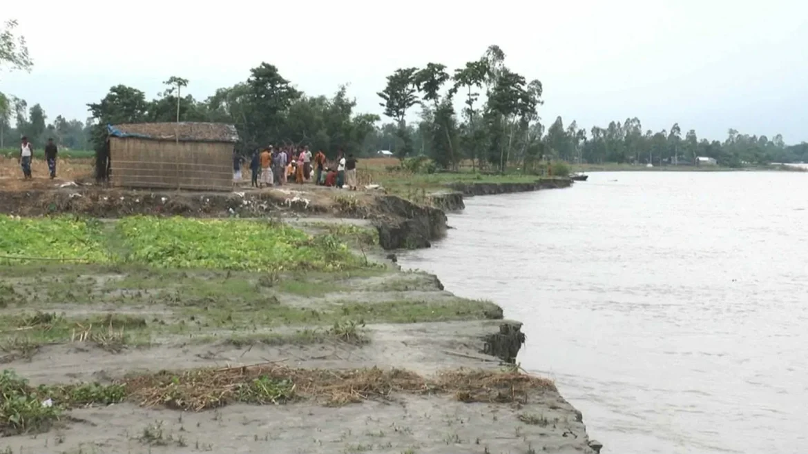 কুড়িগ্রামে পানি কমতেই ভয়াবহ নদীভাঙন
