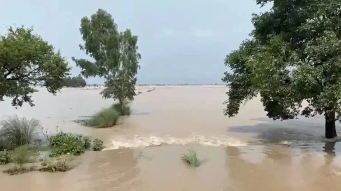 পাকিস্তানের পাঞ্জাবে টানা বৃষ্টিতে নিহত ৭