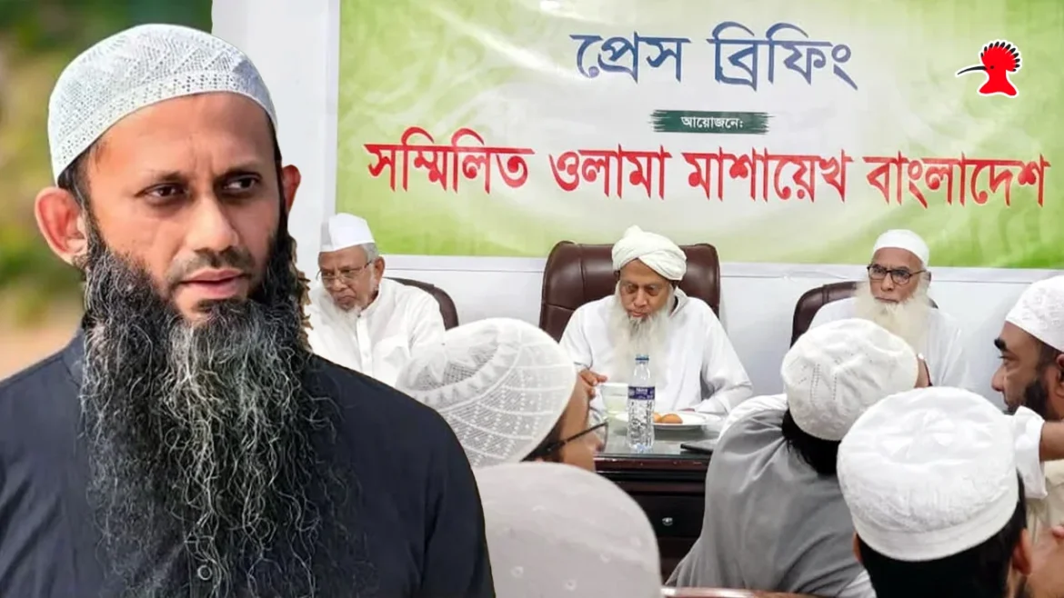 ধর্ম প্রতিমন্ত্রী শামীম কায়সার লিংকনকে ঘিরে কওমি আলেমদের আপত্তি