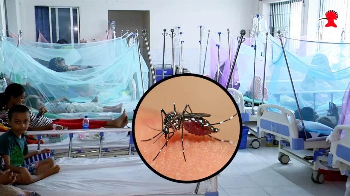 https://hudhudnews24.com/dengue-outbreak-september/